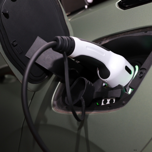 Home untitled design (43)